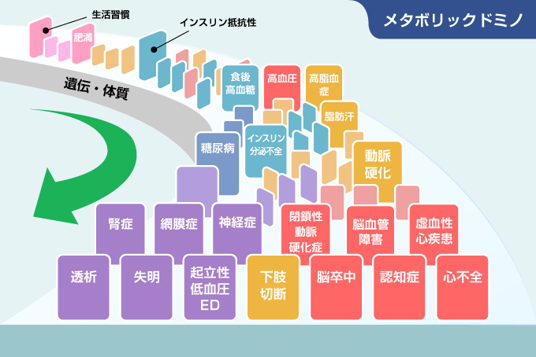 メタボリックドミノの概念図